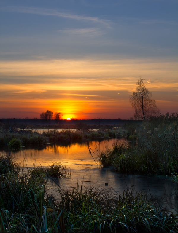 Incredible Sunset