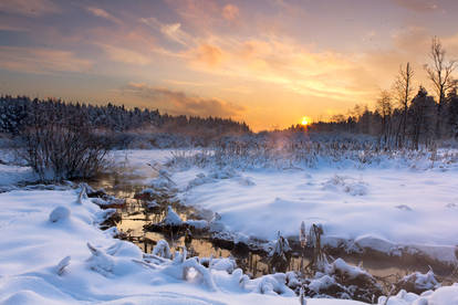 Winter Scenery