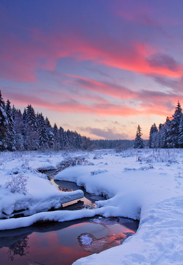 Winter Burning Sky