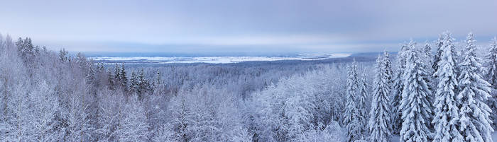 Panorama of Pinega