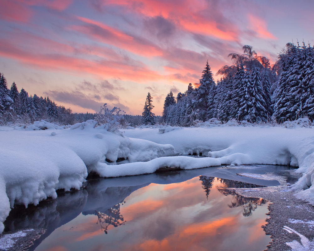 Winter Remembrance