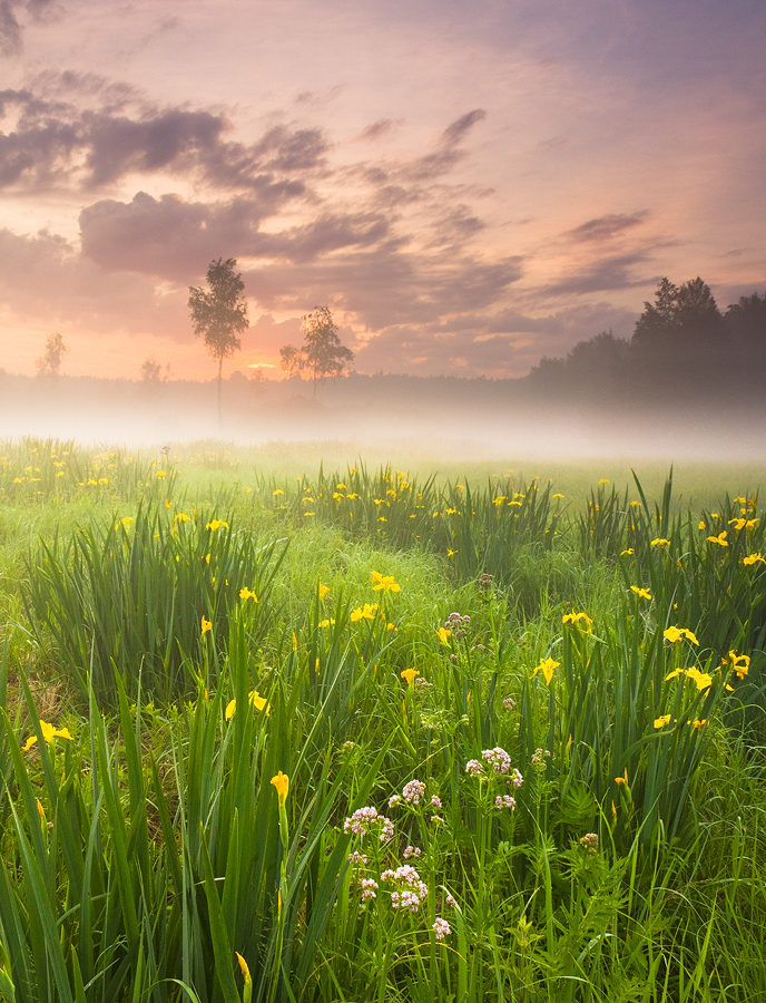 The First Moments of a New Day