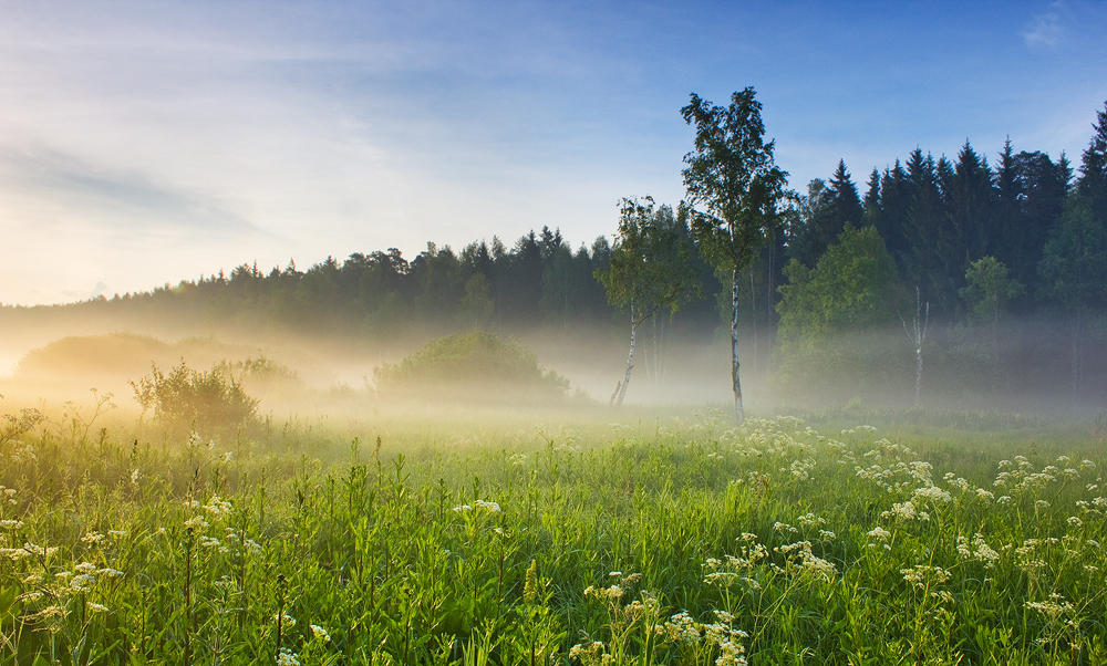 Pearly Mist by DeingeL