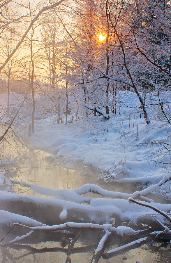 Frosty Scape