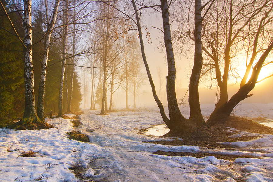 The Sound of Melting Snow