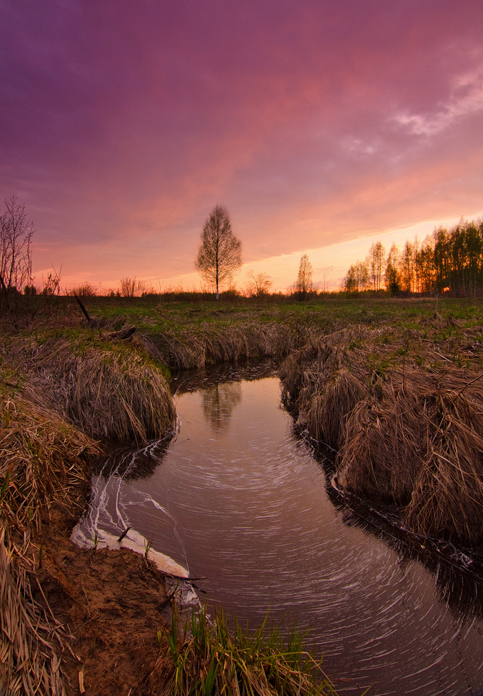 Spring Sunset