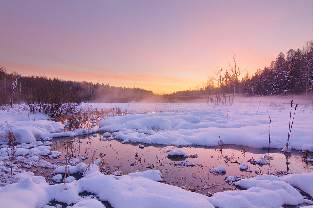 The Snowy Winter