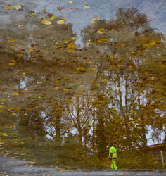 autumn mirror