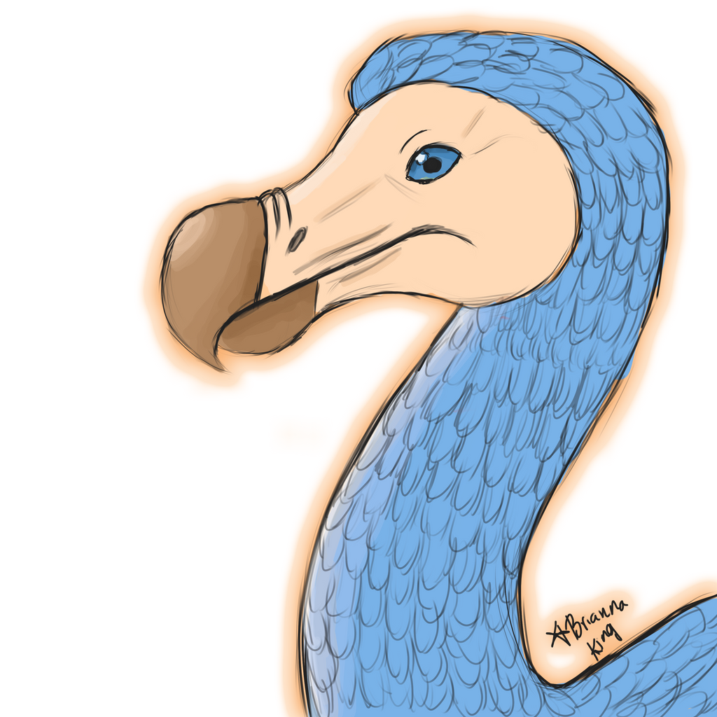Dodo Color Dodo Bird in Color by Intergrated on DeviantArt