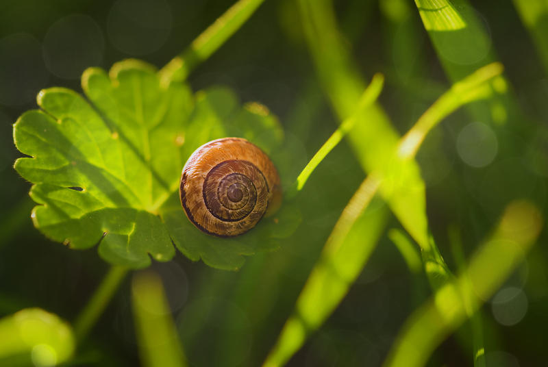 Cosi' piccola e fragile