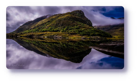 Reflection in the moonlight