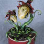 Carnivorous Plants 3