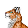 Golden Tiggy Colored Sketch