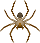 Brown Recluse Pixel Art