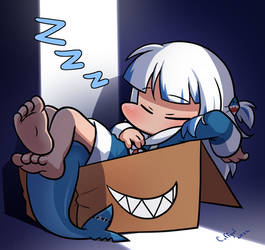 Sleeping Shark in the box