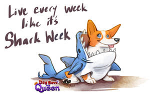 Live every week like it's Shark Week