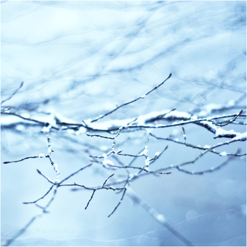 Winter Jewellery by Hantenshi