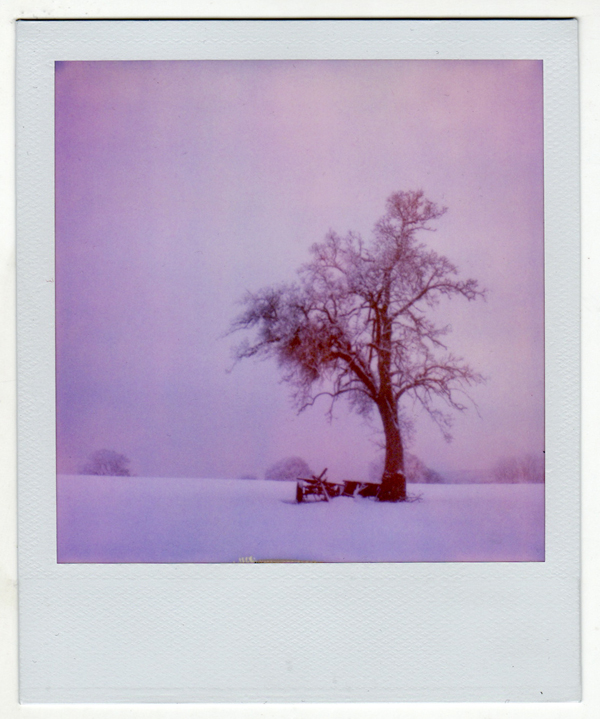 Winterland by Hantenshi