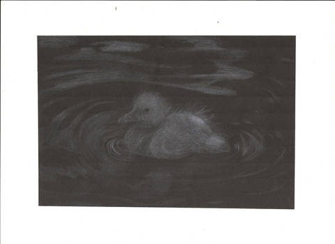 One Little Duck in a Pond