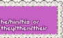 he/they pronouns (purple)