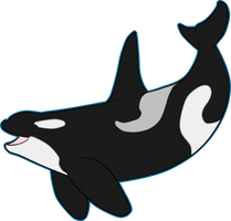 Orca Doodle 1