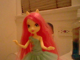 Equestria Girls Fluttershy doll