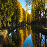 Autumn Trees on the Avon