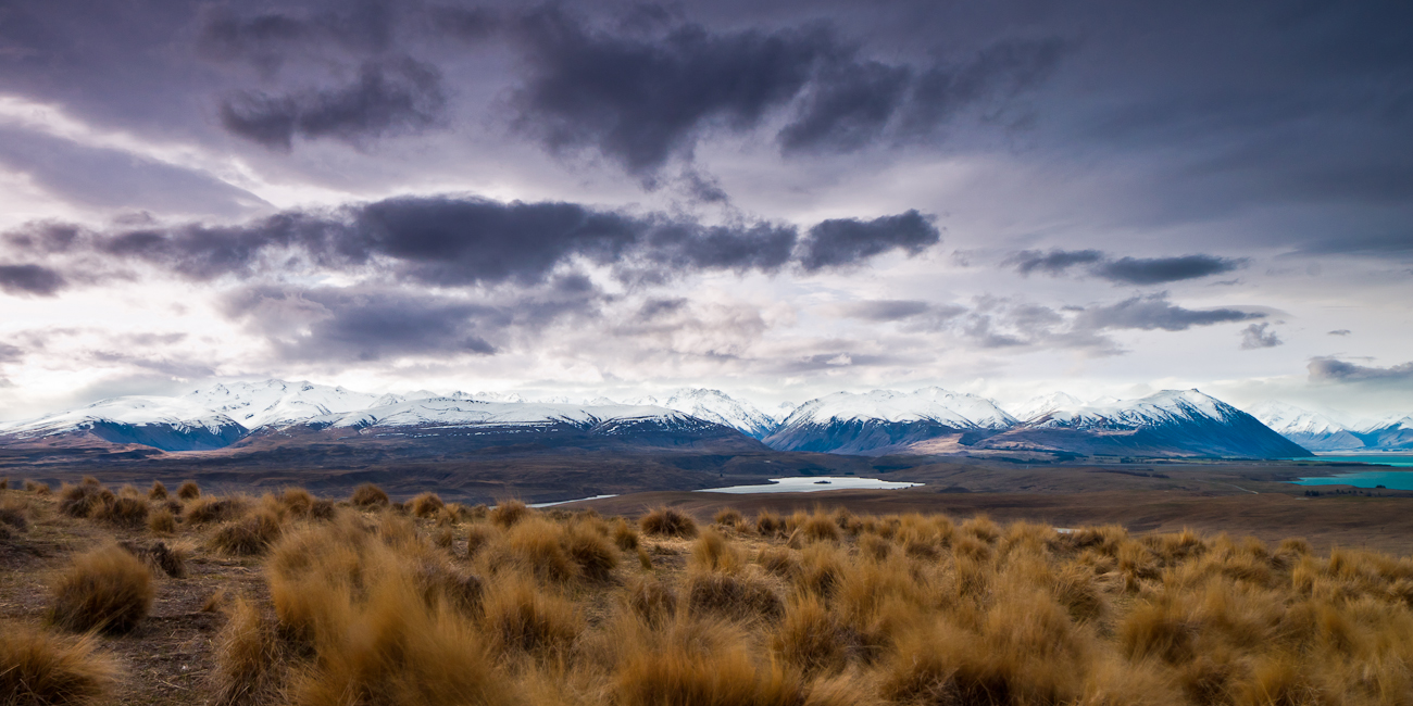 Lake Alexandrina from Mt John