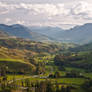 Classic New Zealand Farmland