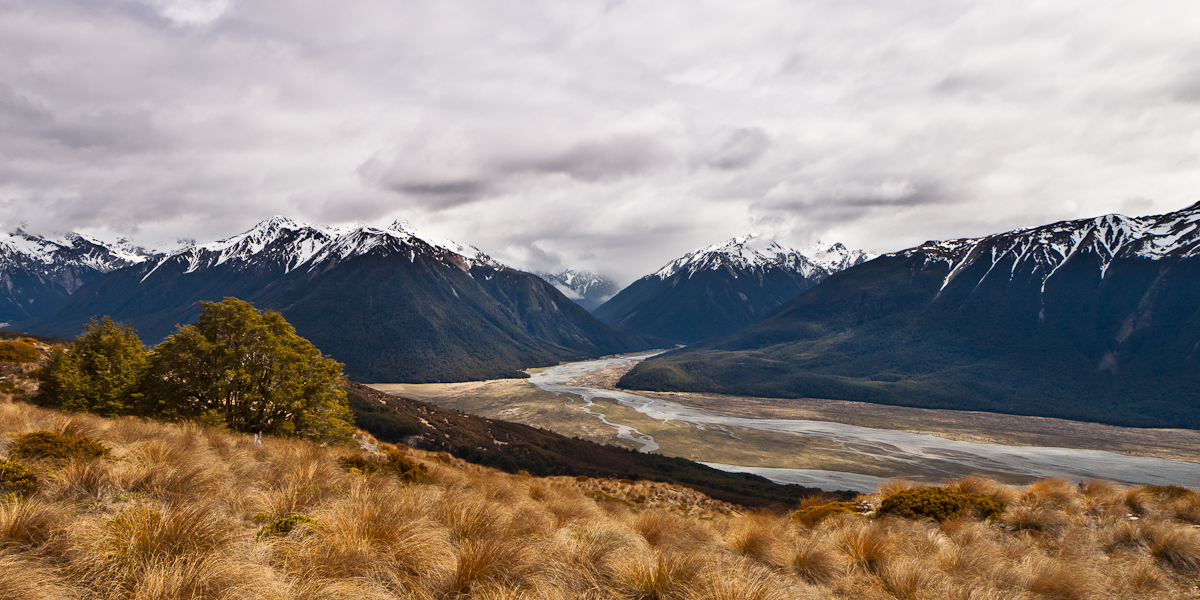 Pure New Zealand