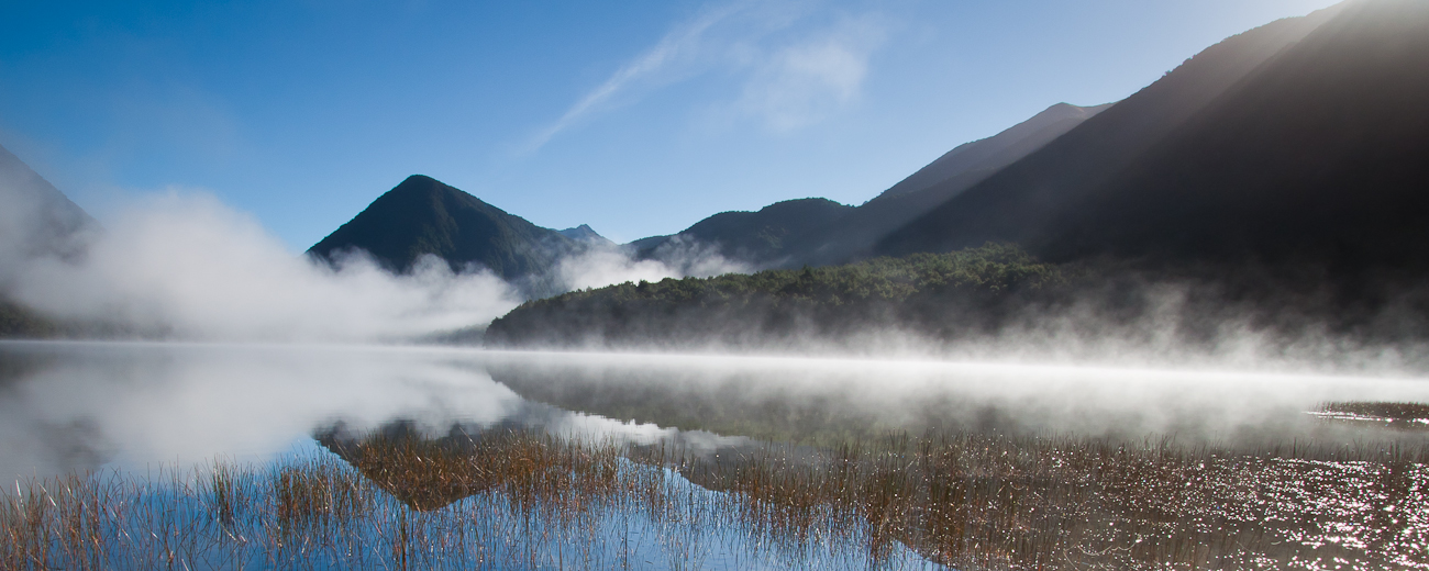 Just New Zealand