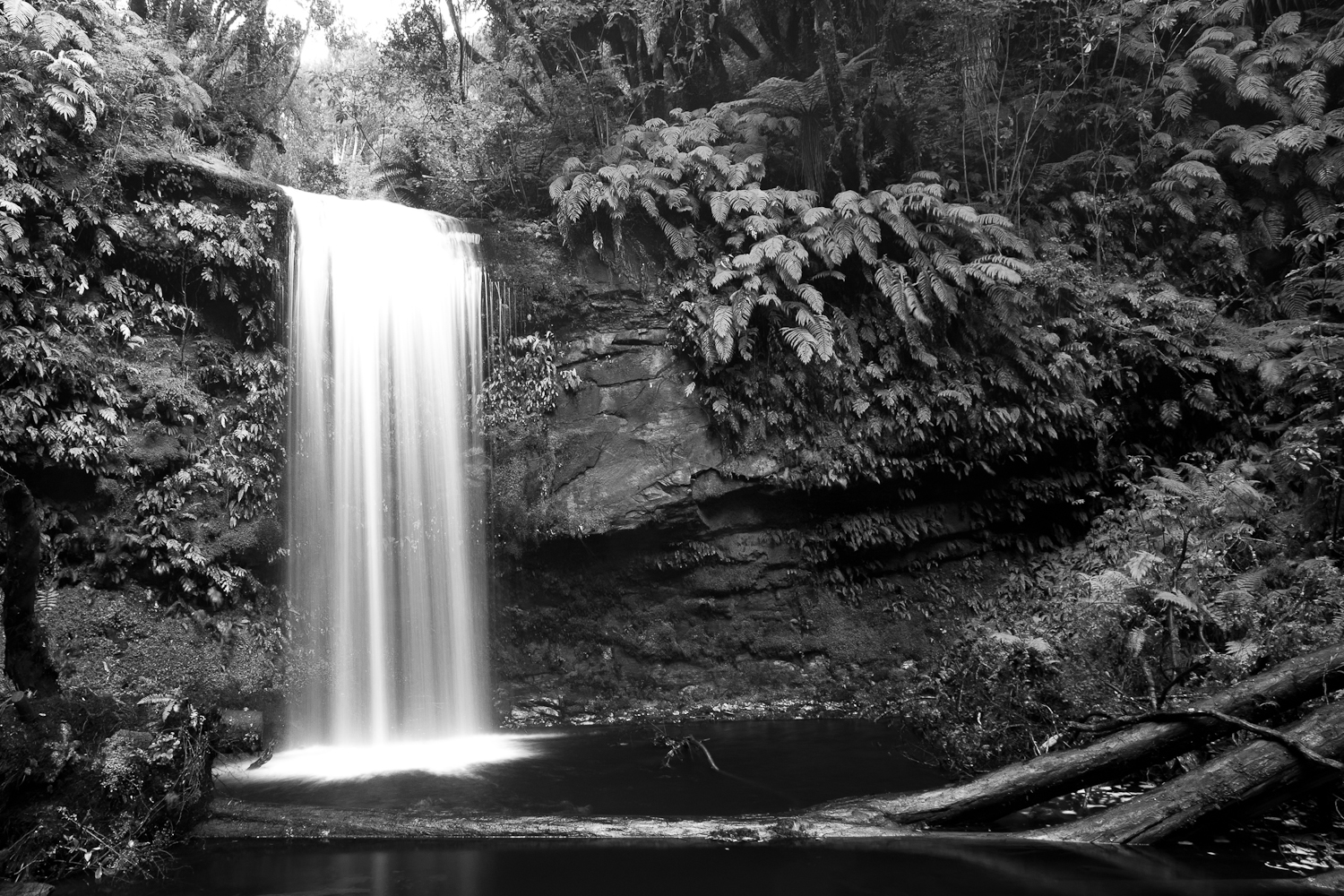 Catlins Beauty