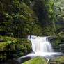 Mclean Falls