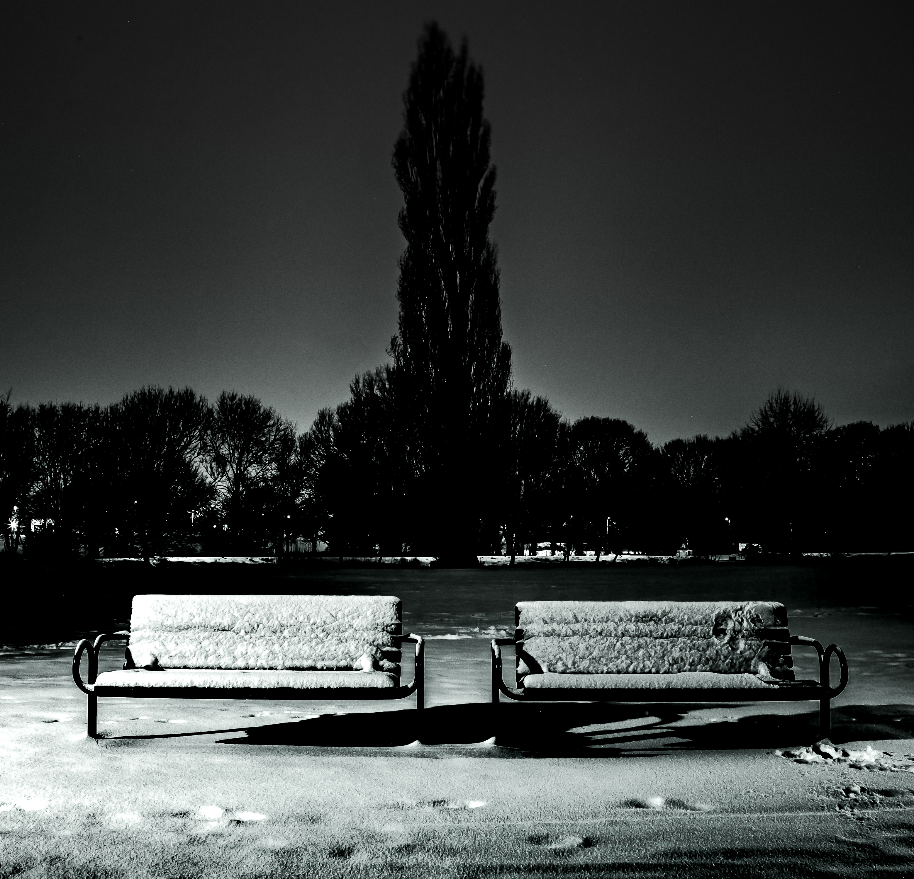 Snowy Benches