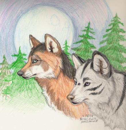 Blue Moon Wolves by NatsumeWolf on DeviantArt