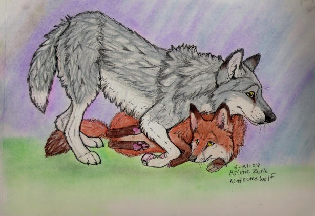 Fox And Wolf Hug By Natsumewolf On Deviantart