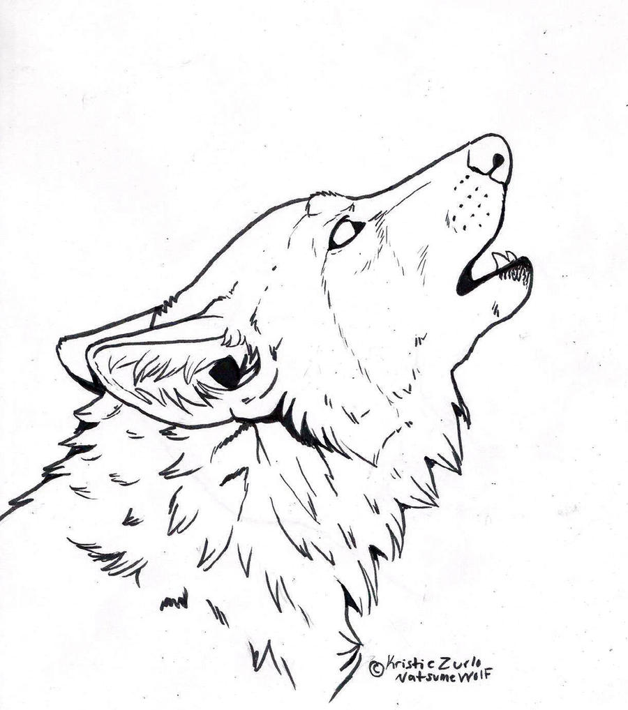 Free to COLOR ONLY howling wolf Line Art