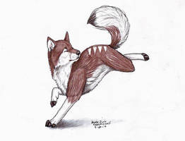 Fox Trot