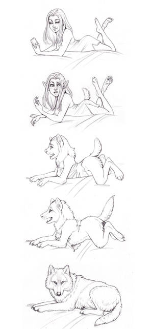 Human/wolf Transform
