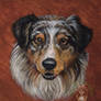 Acrylic dog portrait