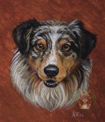 Acrylic dog portrait