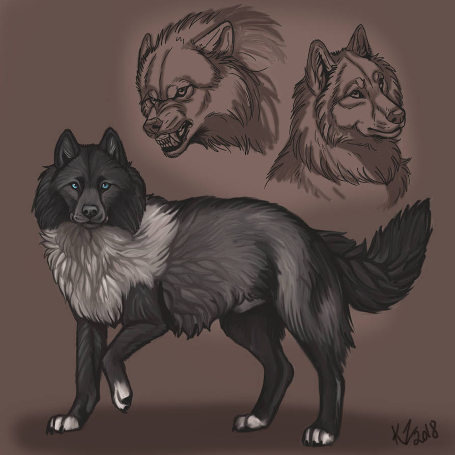 Wolf reference Sheet by NatsumeWolf on DeviantArt