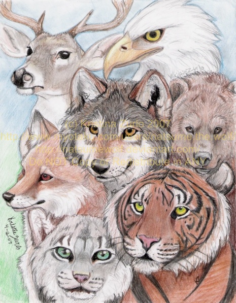 Save the Animals by NatsumeWolf on DeviantArt Save the Animals by NatsumeWolf on DeviantArt