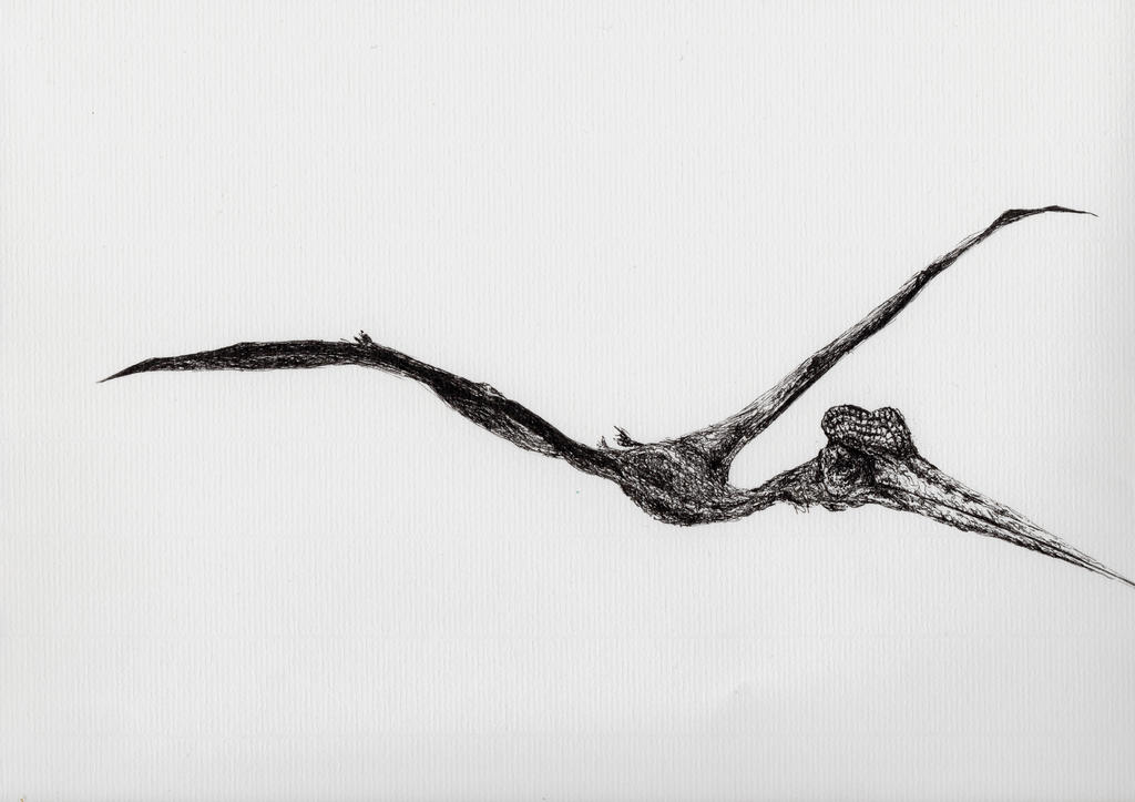 2015-11  Pterodactyle