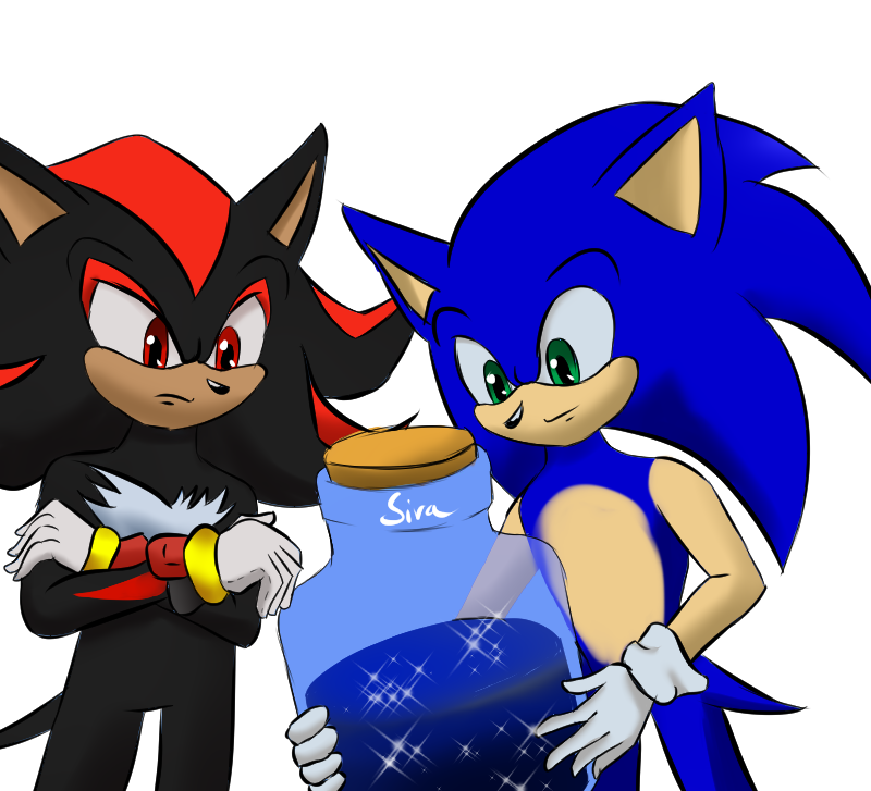 Sonic the hedgehog & Shadow the hedgehog - Drawception