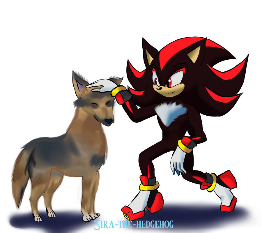 Shadow Wuapoo Puppy And Shadow by sira-the-hedgehog on DeviantArt