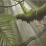 Toucan in Jungle