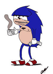 Sonic... I haven't heard that name in years...