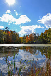 Sunny Lake