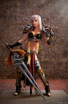 Paladin - World of Warcraft